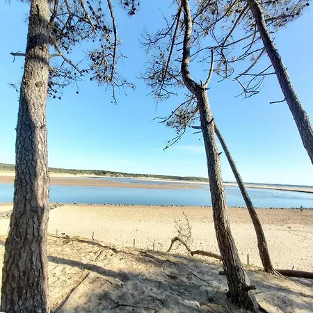 Maison De En Village Ostreicole 3 Etoiles بيت للعطل Talmont-Saint-Hilaire